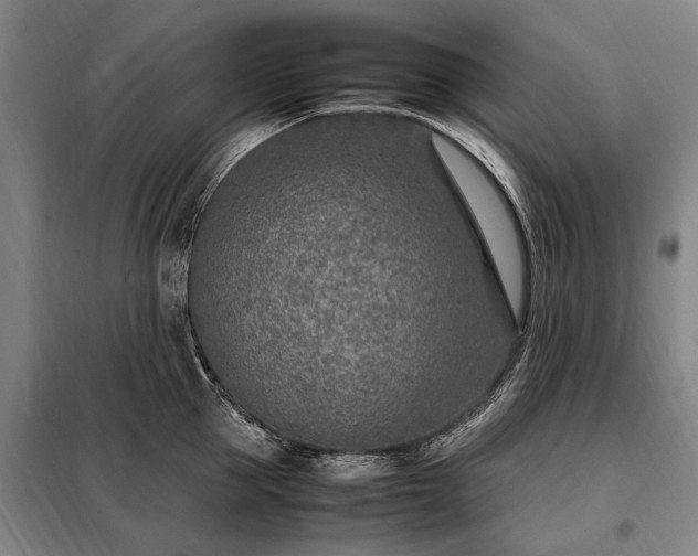 X0000098220953200805011231