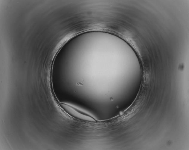 X0000098220954200805011231