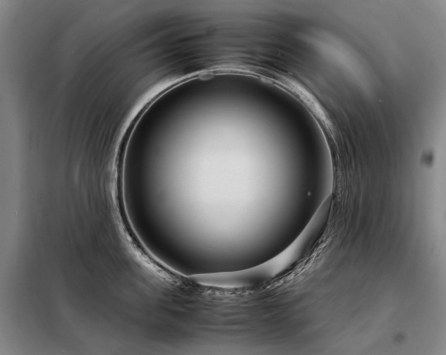 X0000098220955200805011231