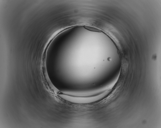 X0000098220956200805011231