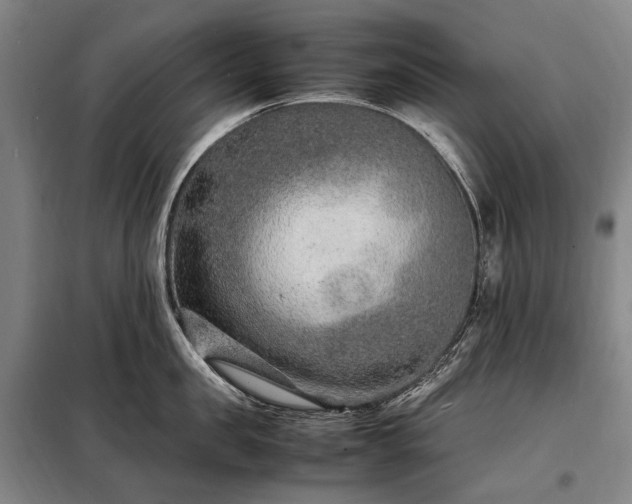 X0000098220957200805011231