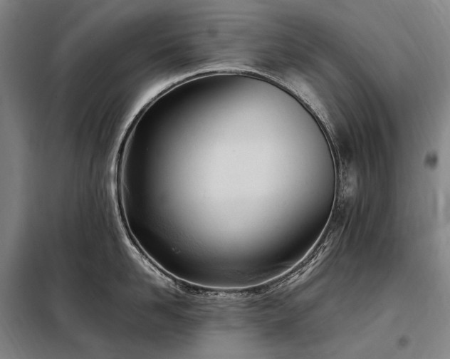 X0000098220958200805011231