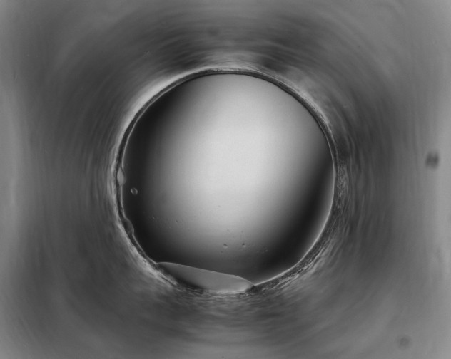 X0000098220959200805011231