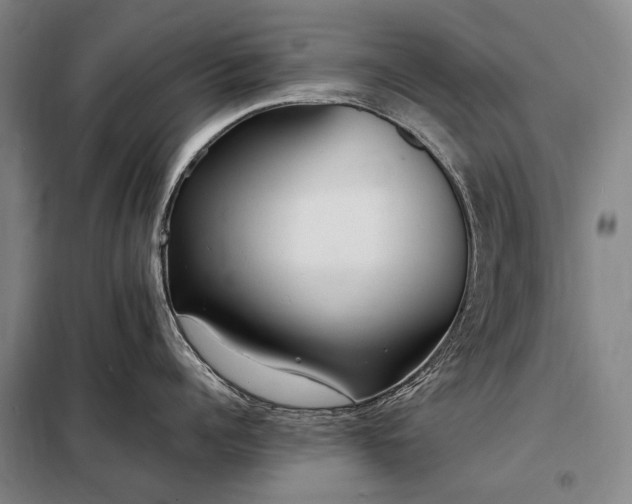 X0000098220960200805011231