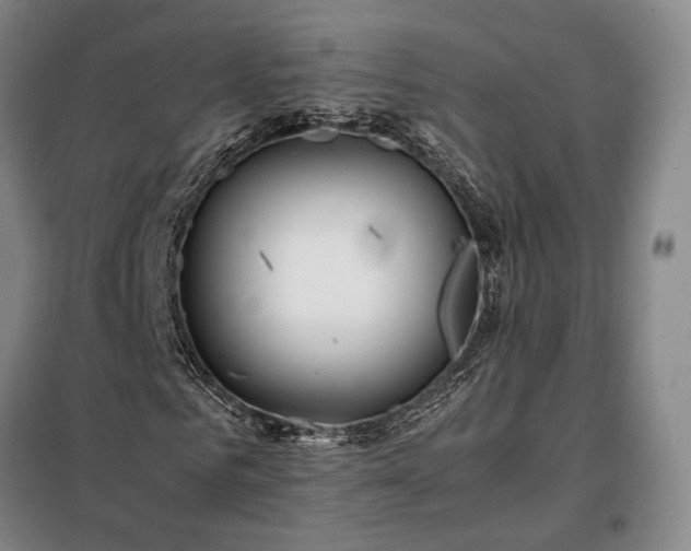 X0000098220961200805011230