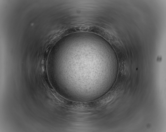 X0000098220962200805011230