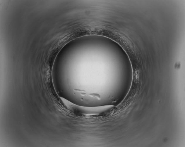 X0000098220963200805011230