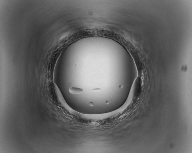 X0000098220965200805011230