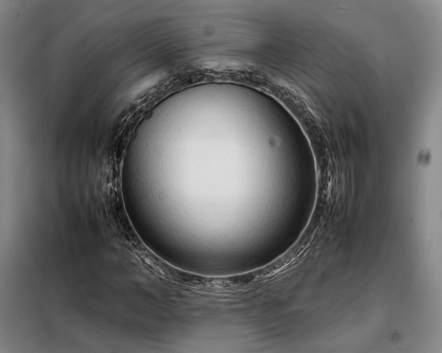 X0000098220966200805011230