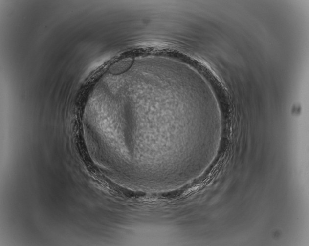 X0000098220967200805011230