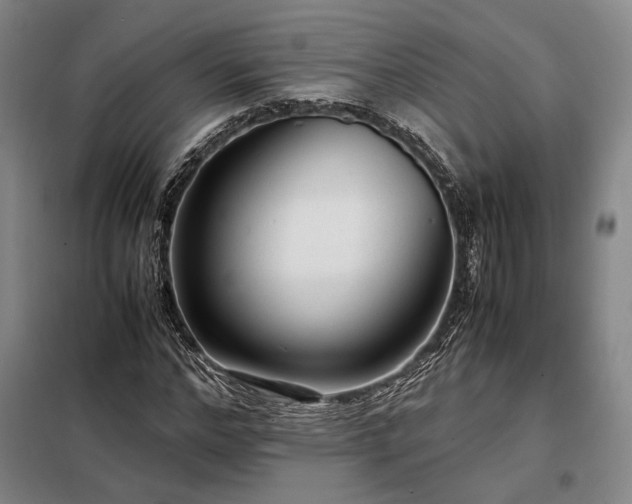 X0000098220968200805011230