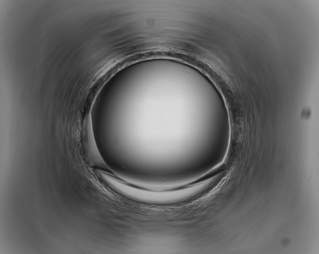 X0000098220969200805011230