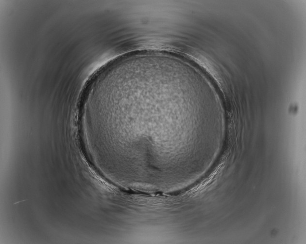 X0000098220971200805011230