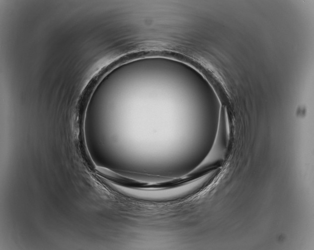 X0000098220973200805011230