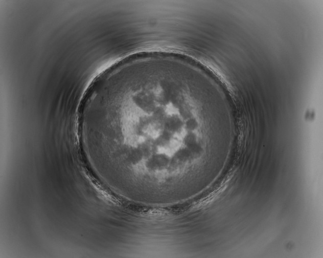 X0000098220974200805011230