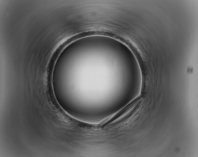 X0000098220975200805011230