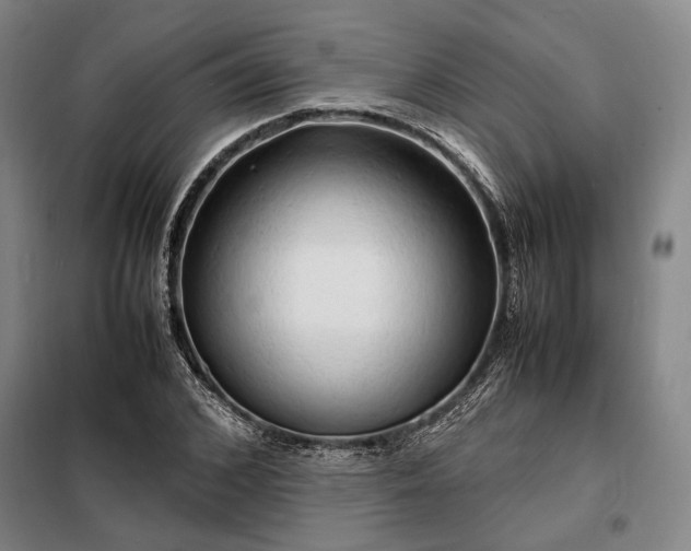 X0000098220976200805011230