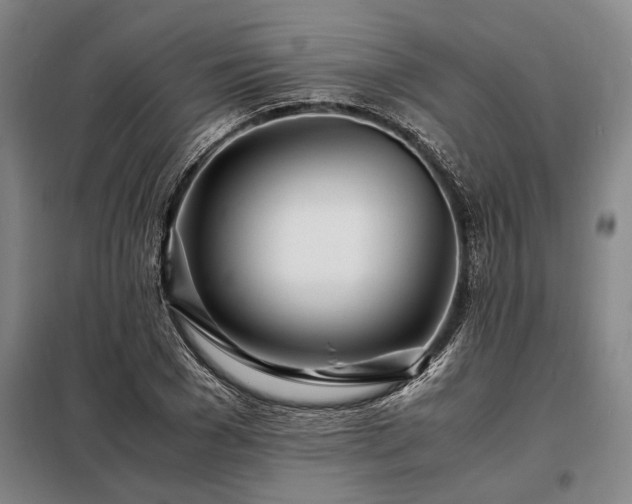 X0000098220977200805011230