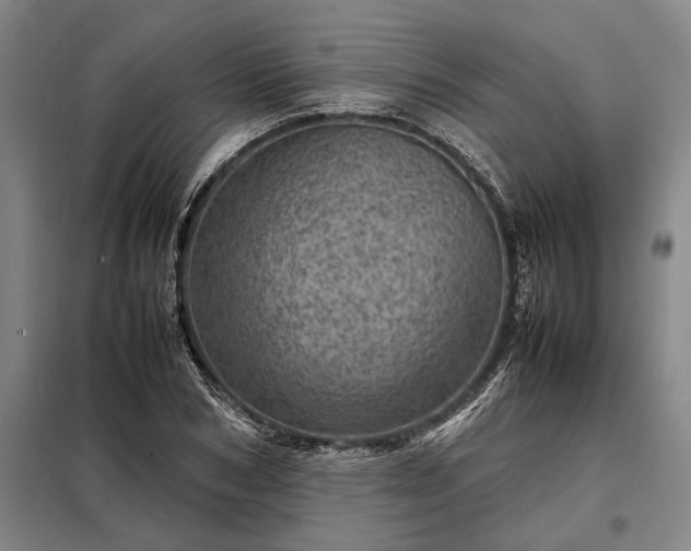 X0000098220978200805011230