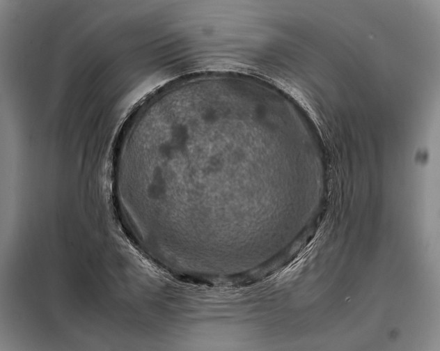 X0000098220979200805011230