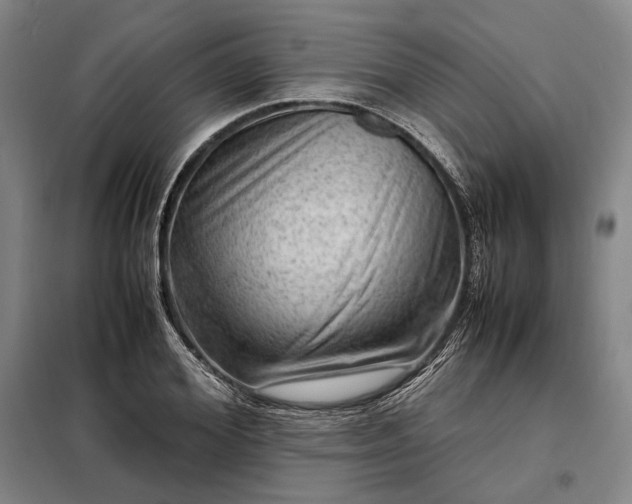 X0000098220980200805011230