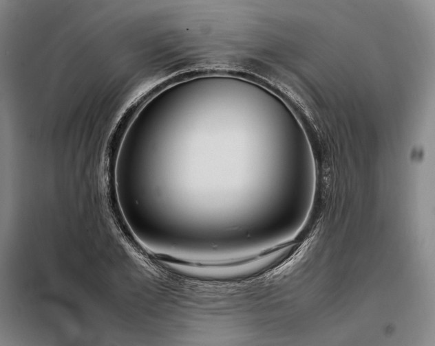 X0000098220981200805011230