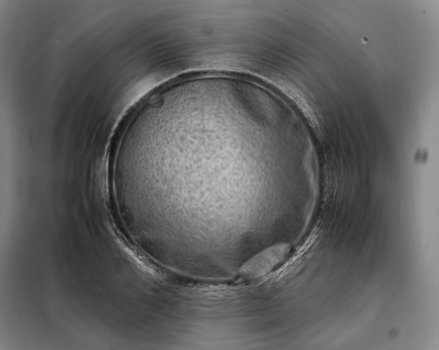 X0000098220982200805011230