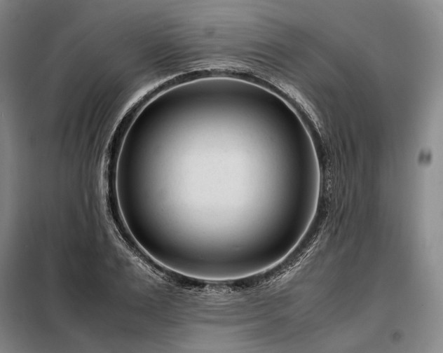 X0000098220983200805011230