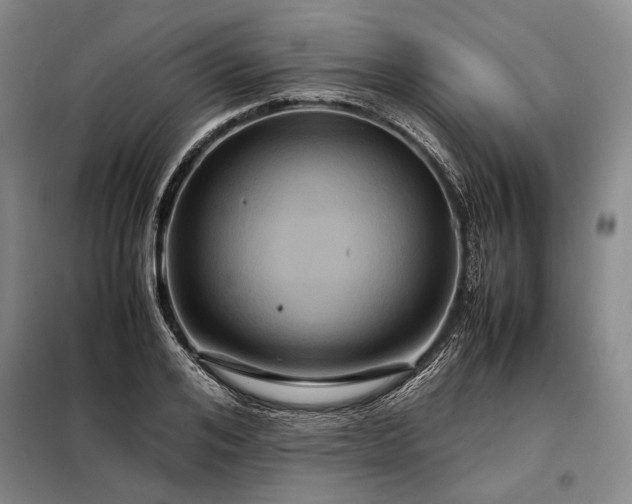 X0000098220984200805011230