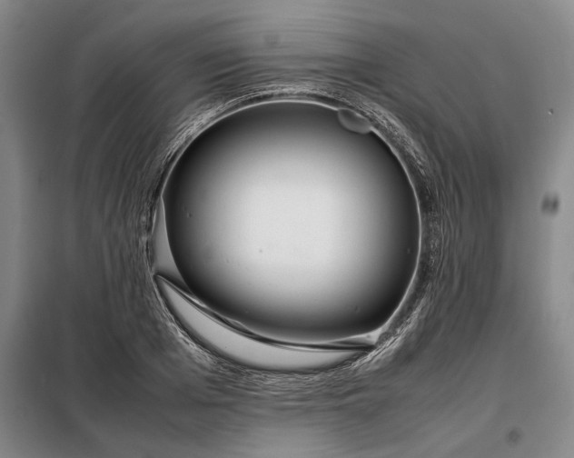 X0000098220985200805011230