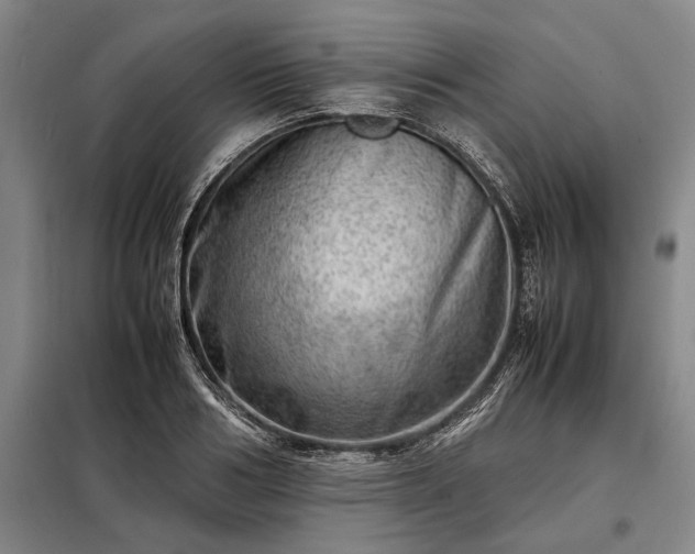 X0000098220986200805011230