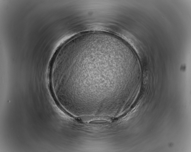 X0000098220987200805011230