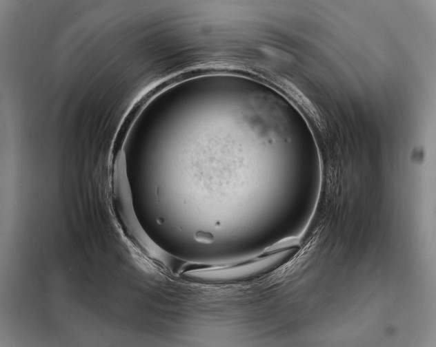 X0000098220988200805011230