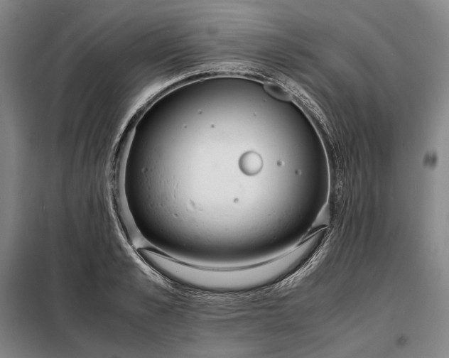 X0000098220989200805011230