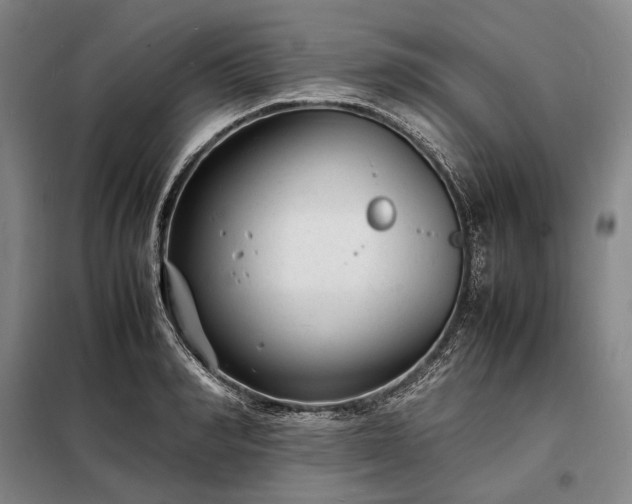 X0000098220990200805011230