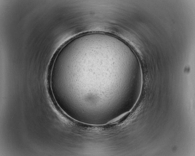 X0000098220991200805011230