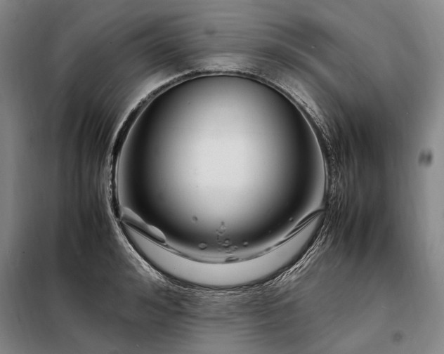 X0000098220992200805011230