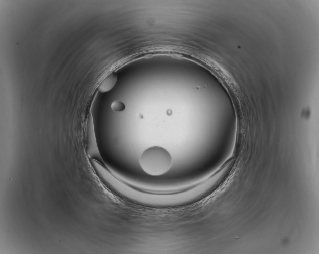 X0000098220993200805011230