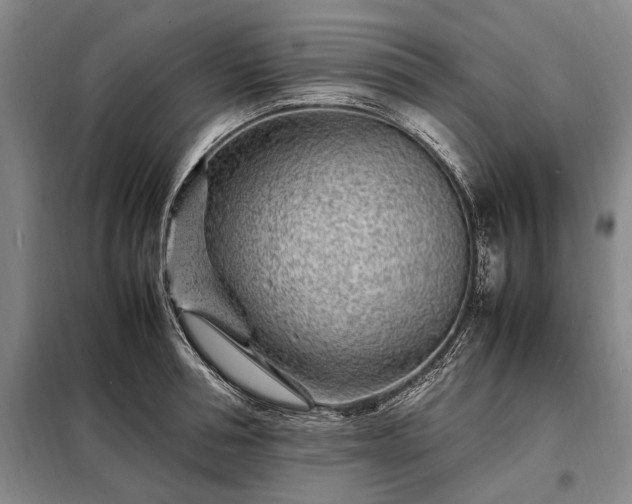 X0000098220994200805011230