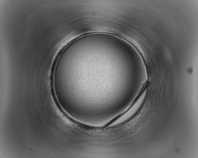 X0000098220995200805011230