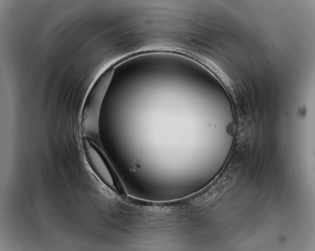 X0000098220996200805011230