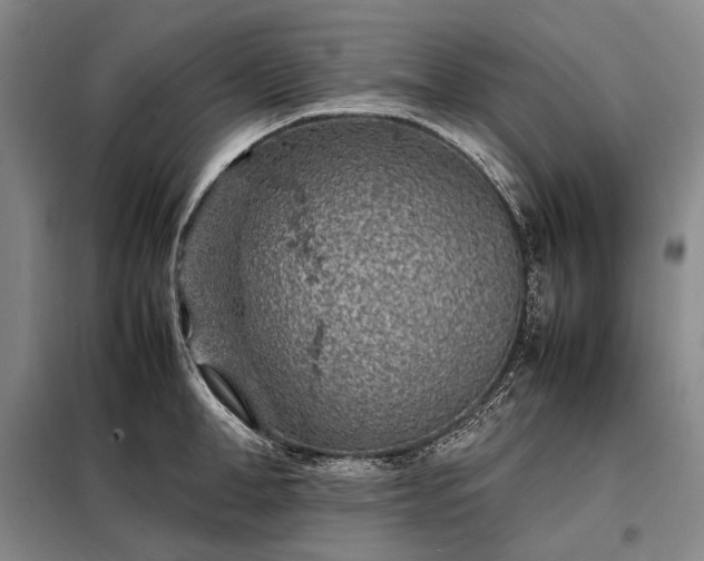 X0000098220998200805011230