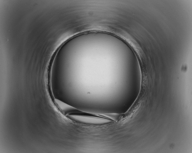 X0000098220999200805011230