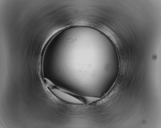 X0000098221000200805011230