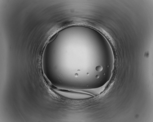 X0000098221001200805011230