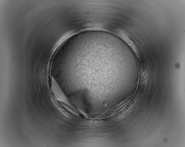 X0000098221002200805011230