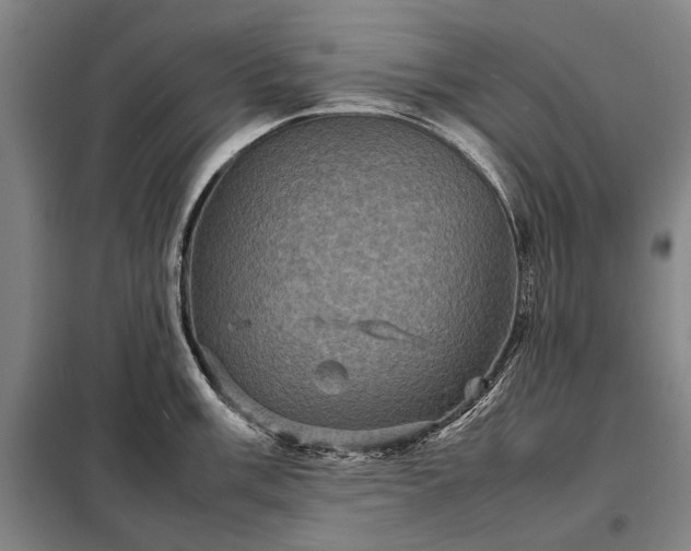 X0000098221003200805011230