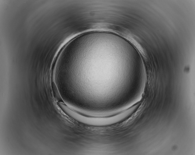 X0000098221004200805011230