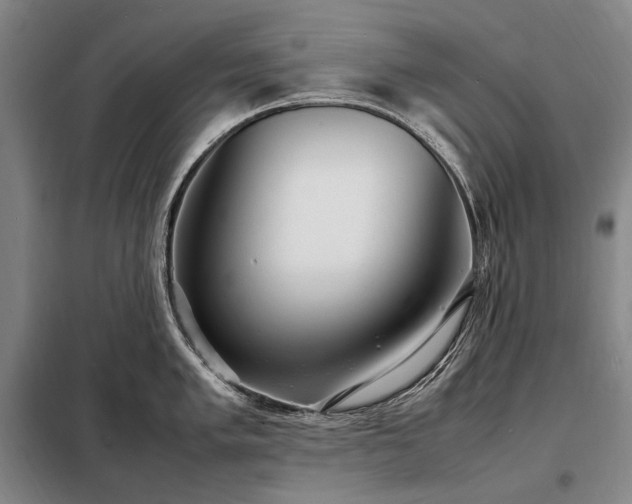 X0000098221005200805011230