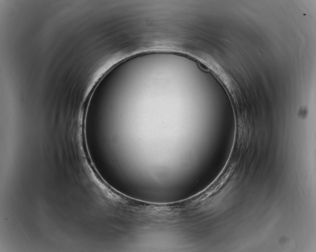 X0000098221006200805011230